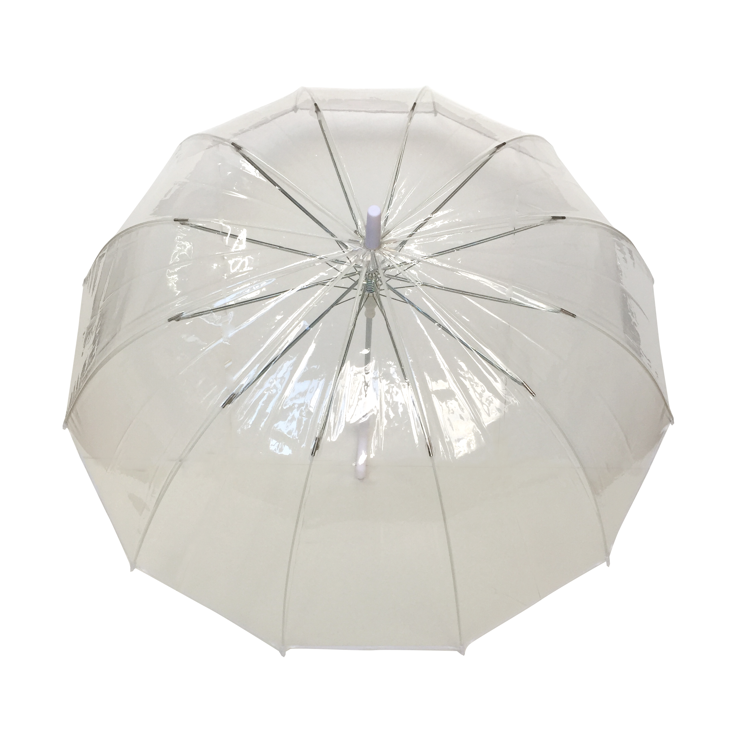 SMATI - Wholesale Umbrella – Women's - Large Transparent Wedding Umbrella - White Border1