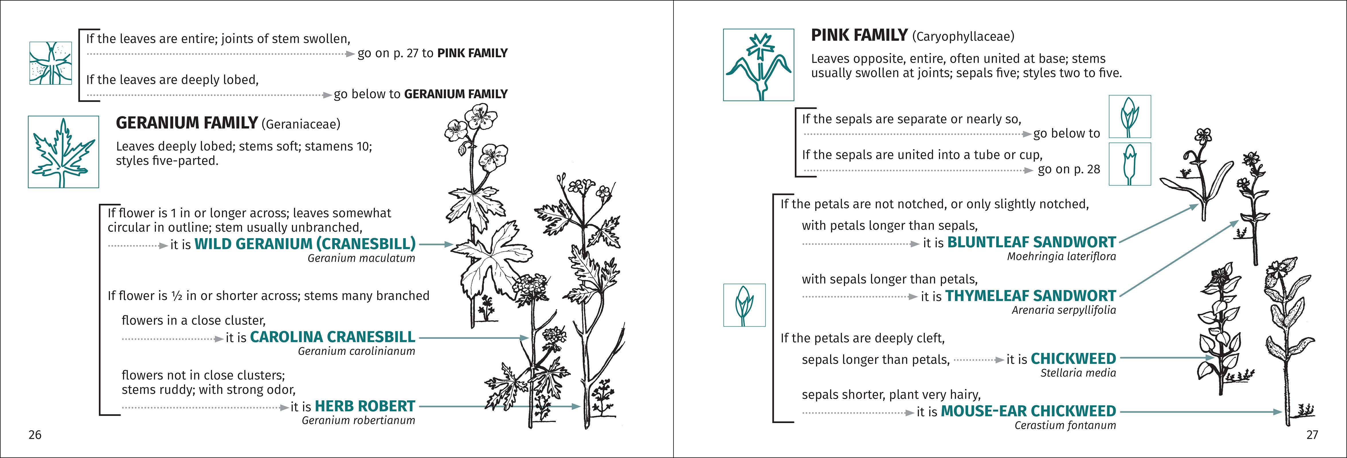 AdventureKEEN - Wholesale Nature & Outdoors - Flower Finder 2nd Edition5