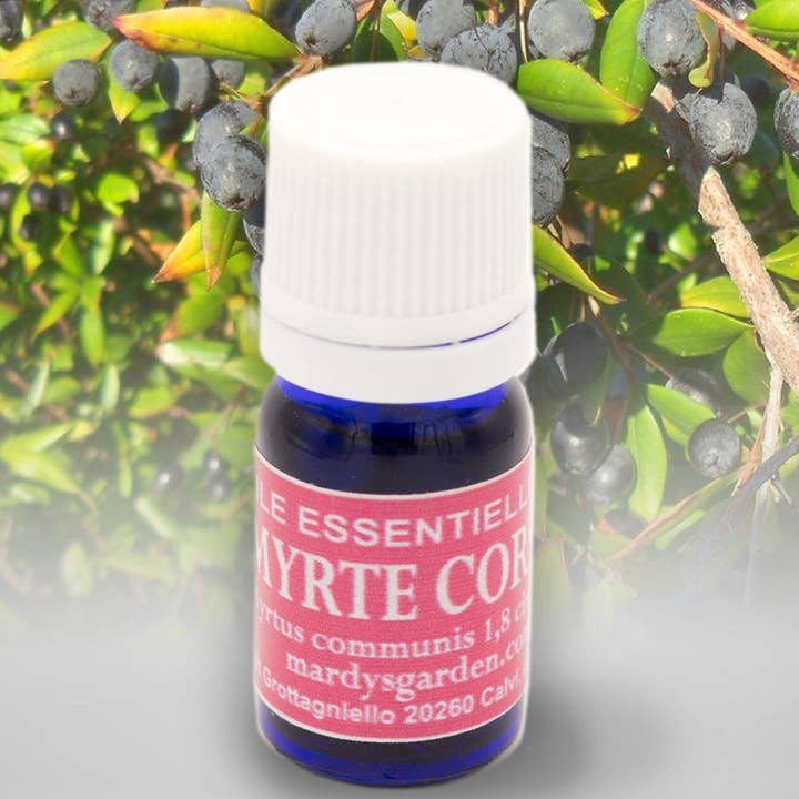 Mardys Garden – wholesale Eterisk olja – Ekologisk Corsican Myrtle eterisk olja
