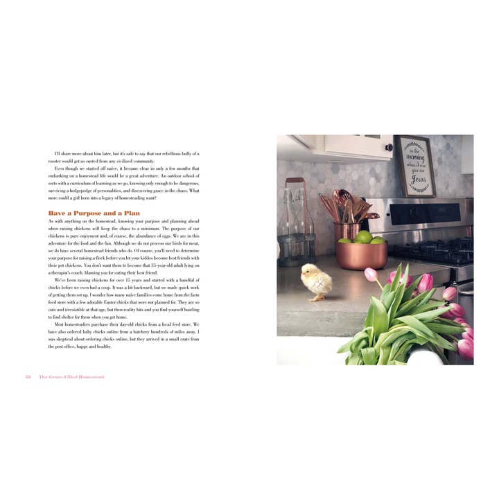 Harvest House Publishers Gift & Specialty Books - Wholesale Book - Adult - The Grace-Filled Homestead