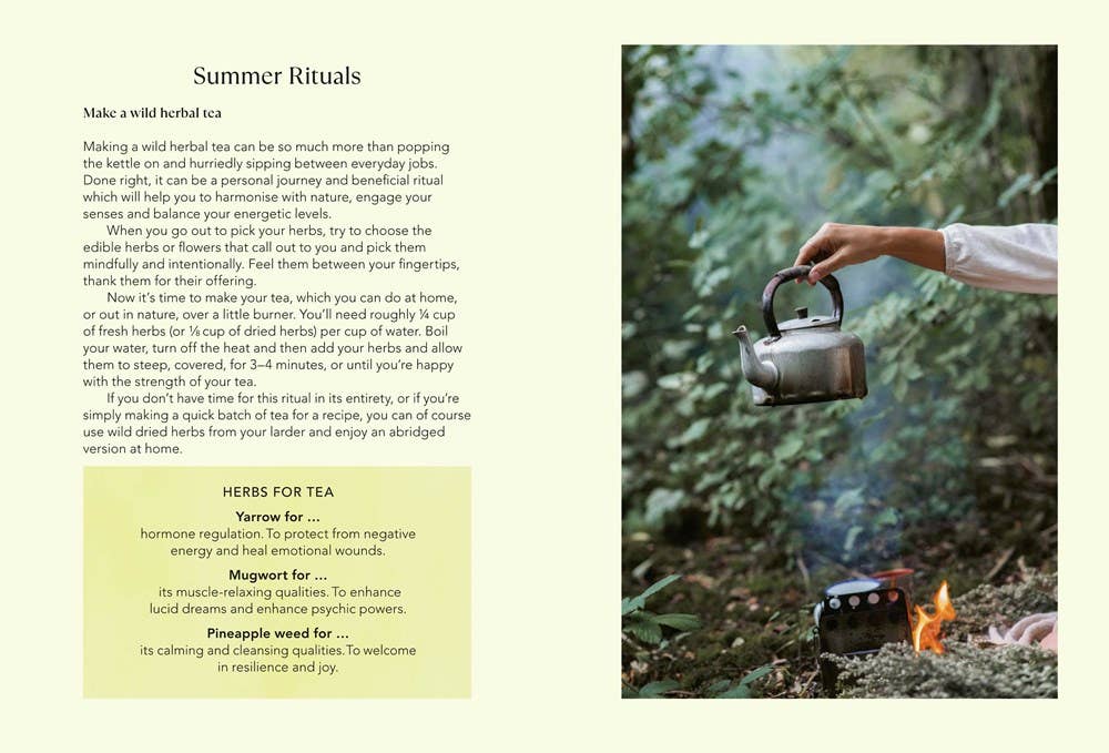 Independent Publishers Group - Vente Nature & Outdoors - Magie sauvage5