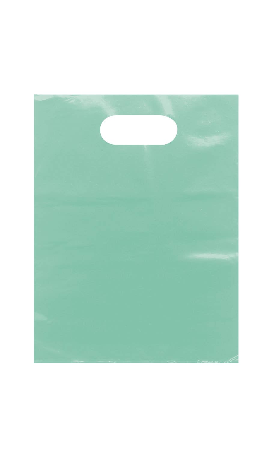 Store Supply Warehouse - Wholesale Gift Bag - Frosted Retail Merchandise Bags3