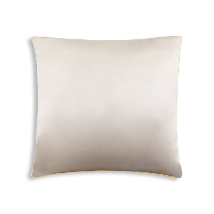 Cloud 9 Design - Venta al por mayor Cojín decorativo - Almohada de terciopelo gris Noah con ribete dorado.