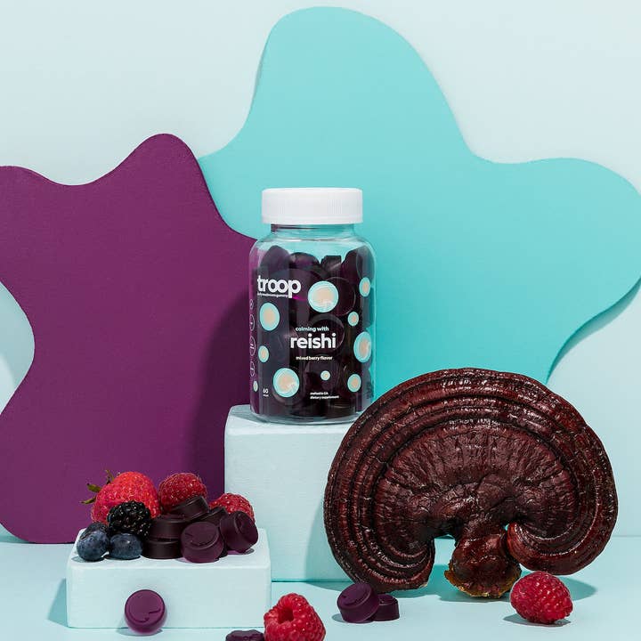 Troop - Wholesale Voedingssupplement/vitamine - Reishi Mushroom Gummies voor stress, slaap en immuniteit3