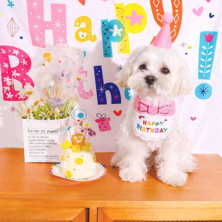 Birthday embroidery cute bibs&hat for cats dogs for wholesale by Little Trendy