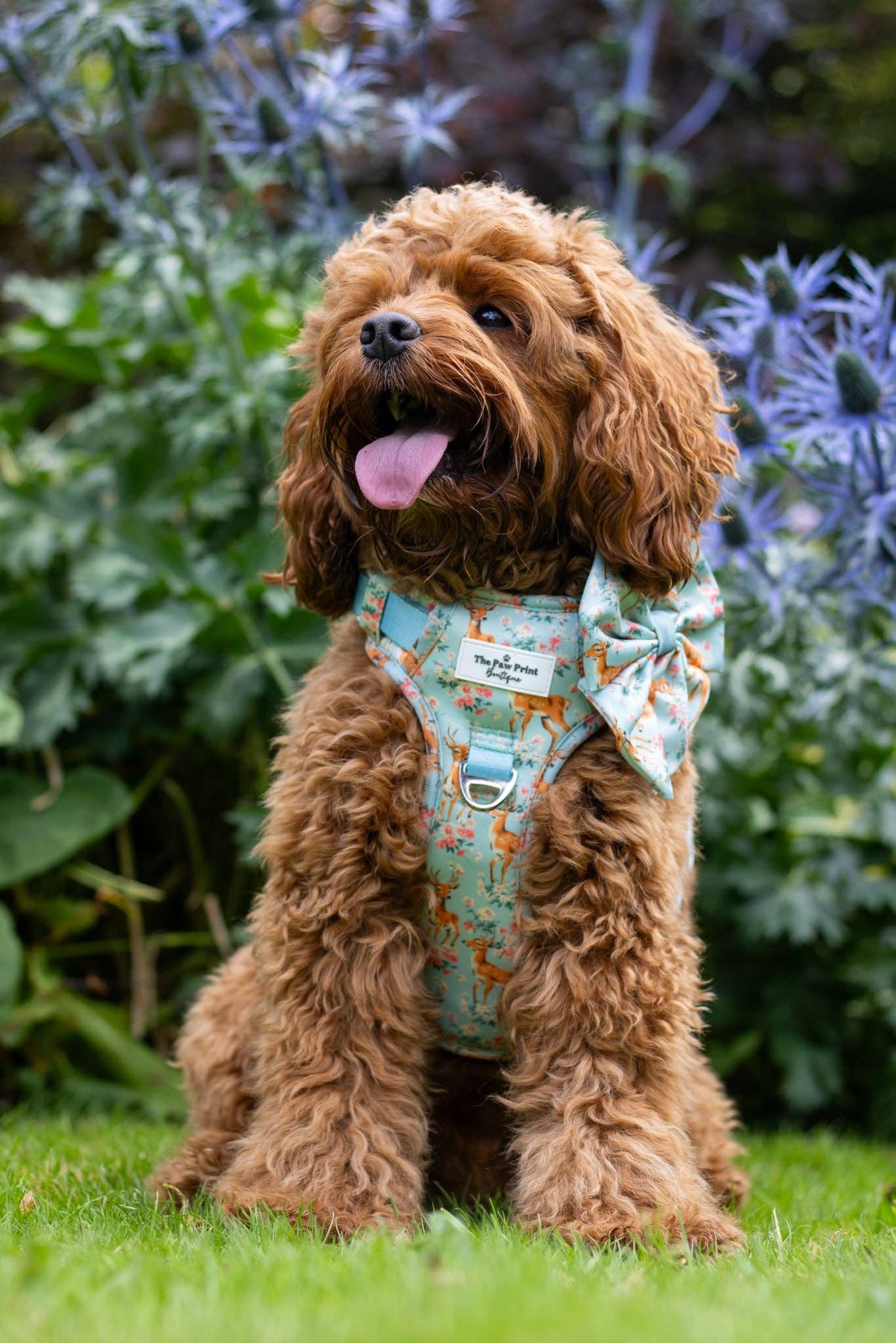 The Paw Print Boutique – wholesale Pet bow tie – Dog – Bambi in Bloom Bow Tie8