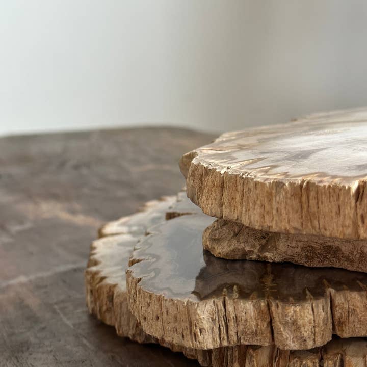 Office Objets - Wholesale Decorative Tray - Beige petrified wood organic plate D:20-35cm - Satu46