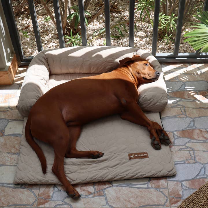 Pelsbarn - Wholesale Pet Bed - Dog - HeatRelief™ Cooling Dog Bed - Pelsbarn Helps Shelter Dogs!11