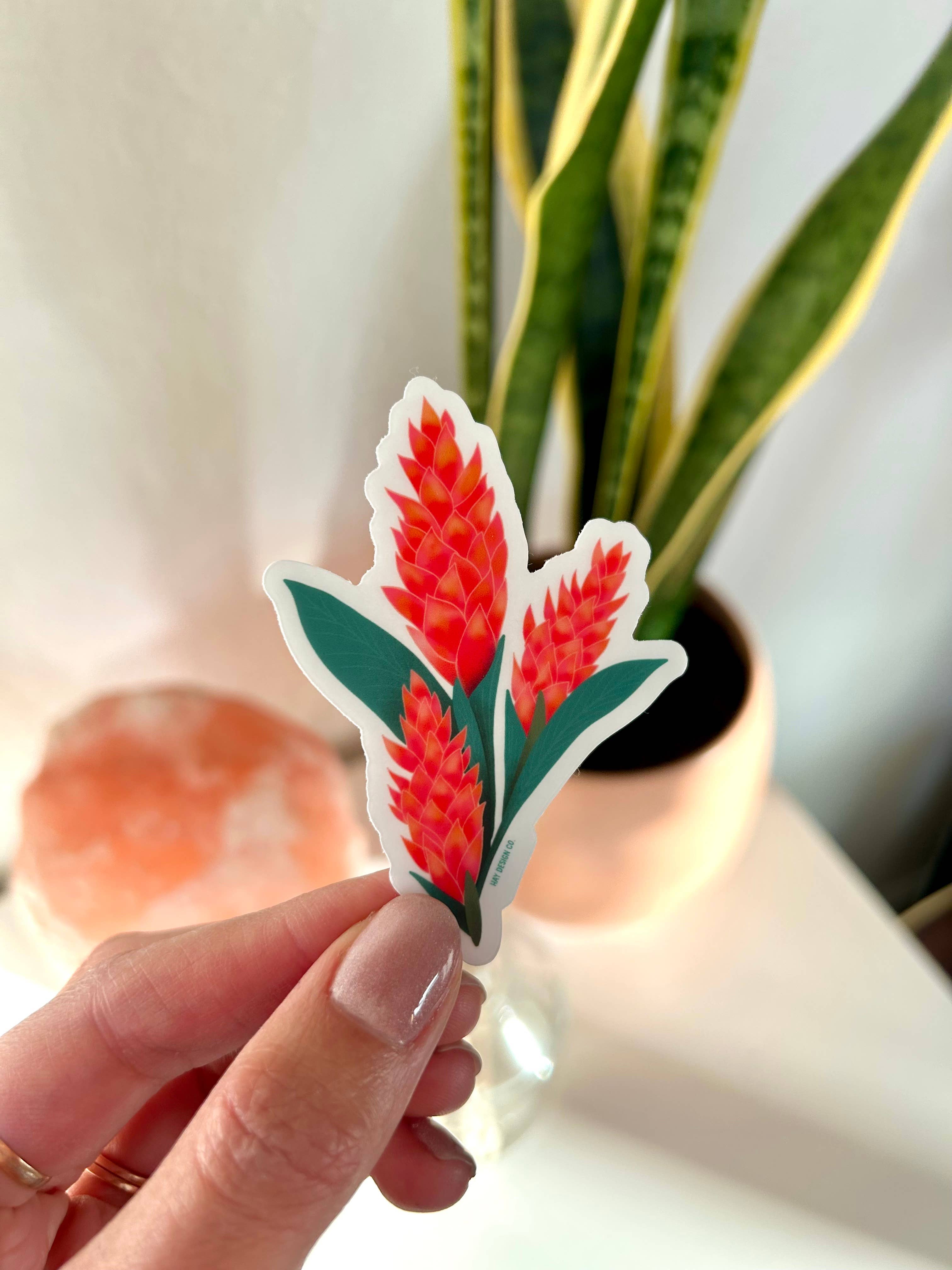 Hay Design Co. - Wholesale Sticker - Awapuhi Sticker | Hawaiian Ginger Sticker1