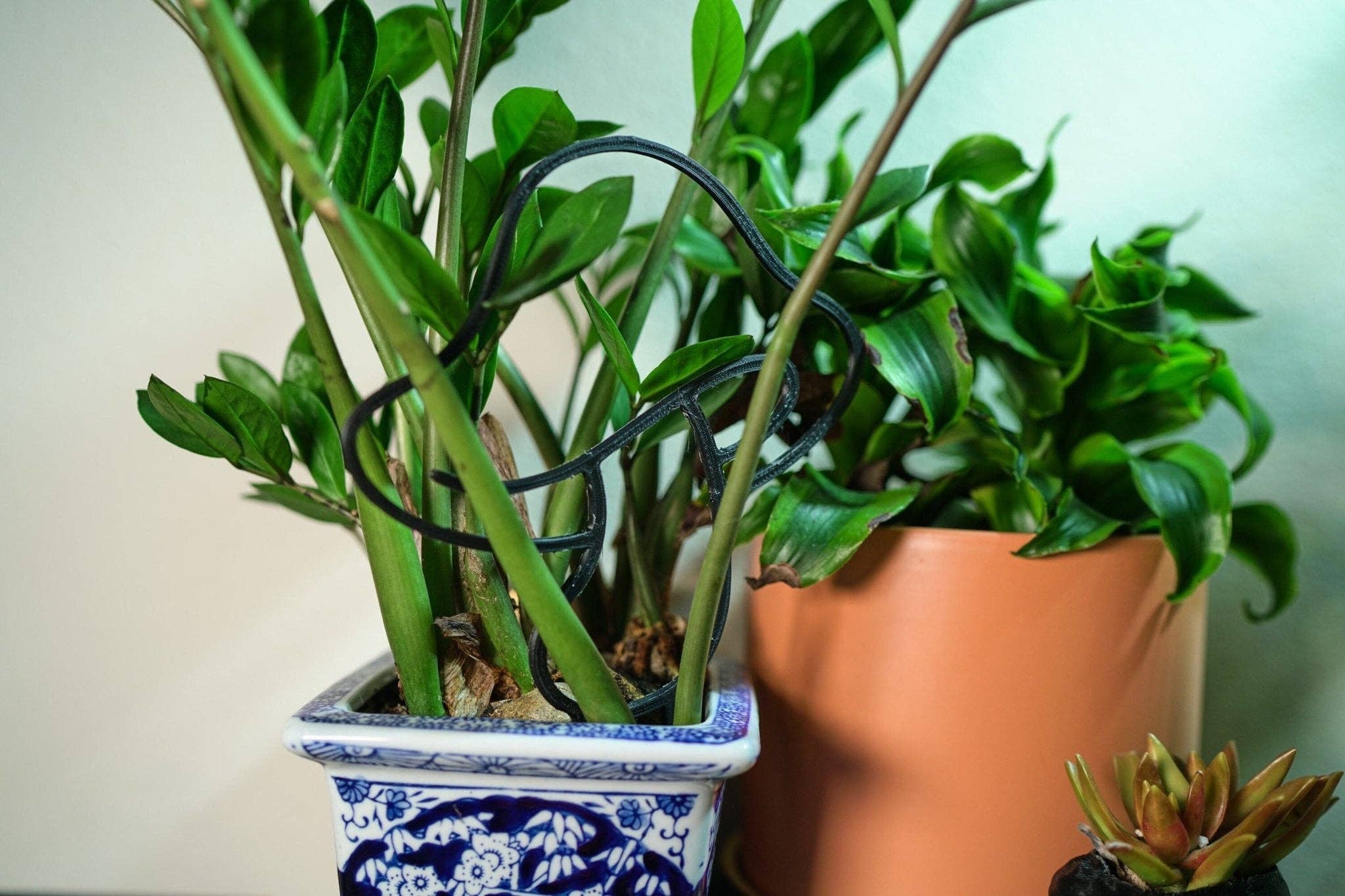 Rosebud Homegoods – Latada por atacado – Trellis de plantas de cogumelos10