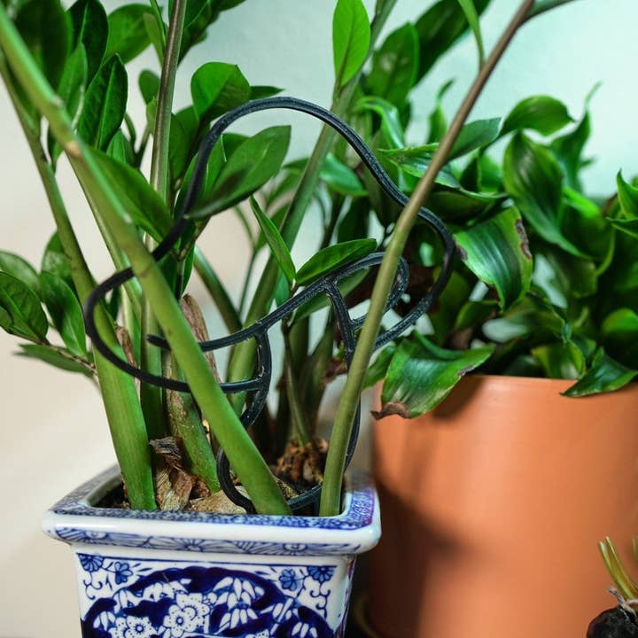 Rosebud Homegoods - Vente Treillis - Plante Champignon Treillis10