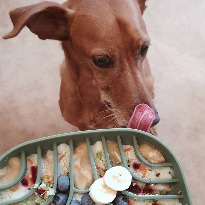 Woofstuff - Shop for dogs - Wholesale Pet Bowl - Cat/Dog - Activity Toy Slow Feeder Tasty L6