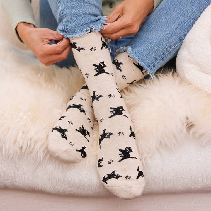 Conscious Step - Wholesale Socks - Unisex - Socks that Save Cats (Beige Cats)