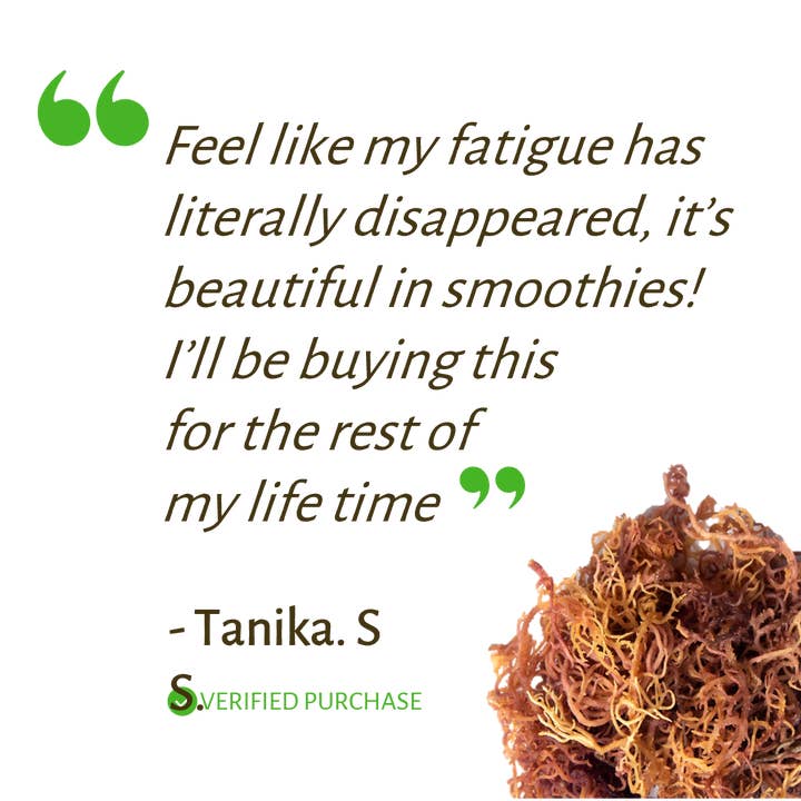 MagicTree Superfoods - Wholesale Oral supplement/vitamin - Full Spectrum Seamoss Deluxe2