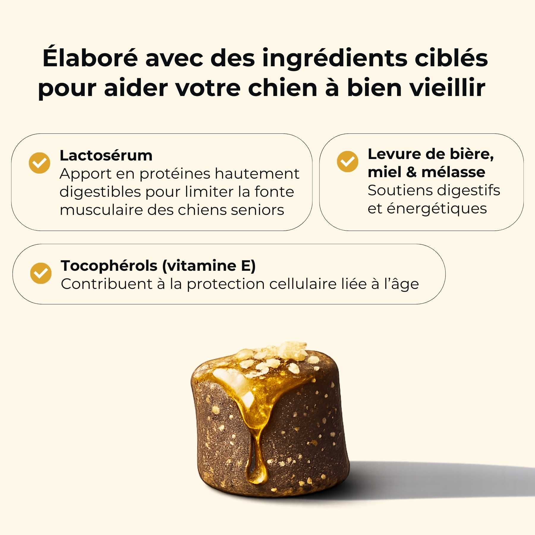 Truffe Délice – wholesale Pet supplement – Dog – Senior dog supplement2