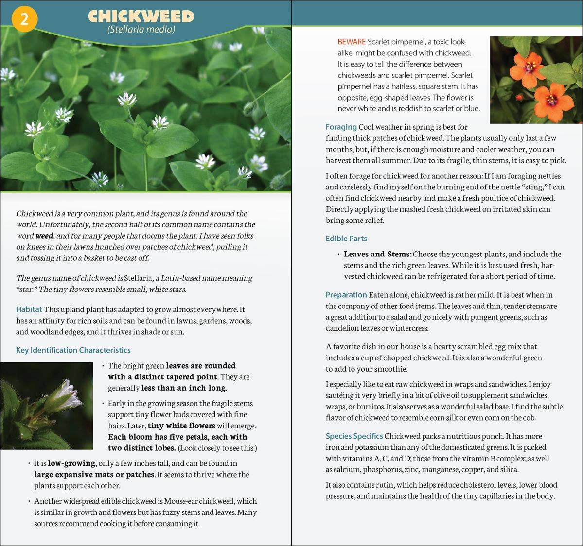 AdventureKEEN - Vente Nature et plein air - Fourrager en Amérique du Nord Guide rapide1