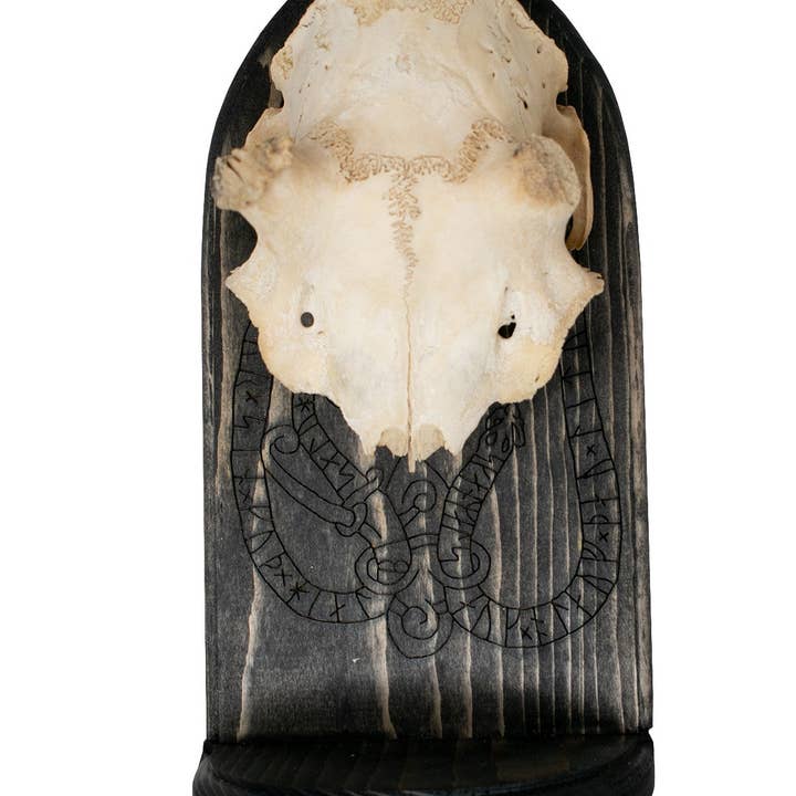 deer skull runestone serpent altar for wholesale by Oreamnos Oddities