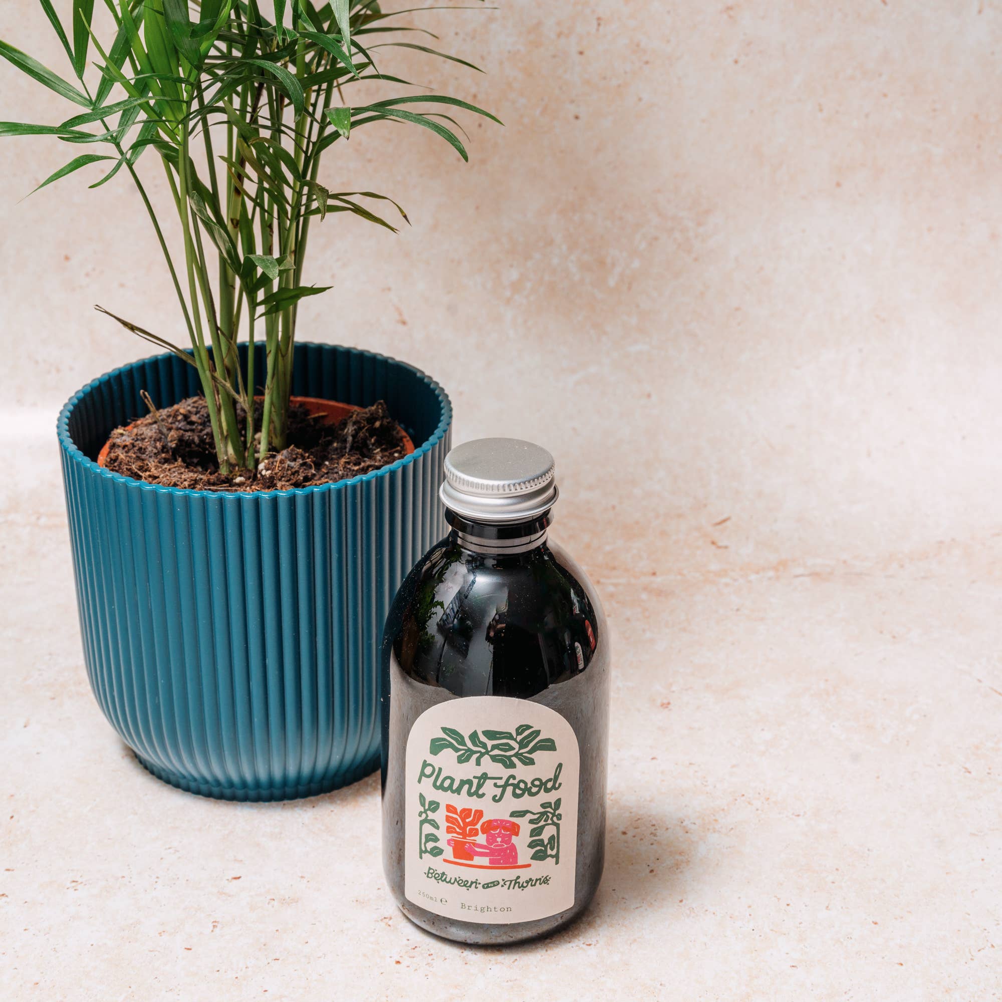 Between Two Thorns – wholesale Fertiliser – Seaweed Plant Feed0