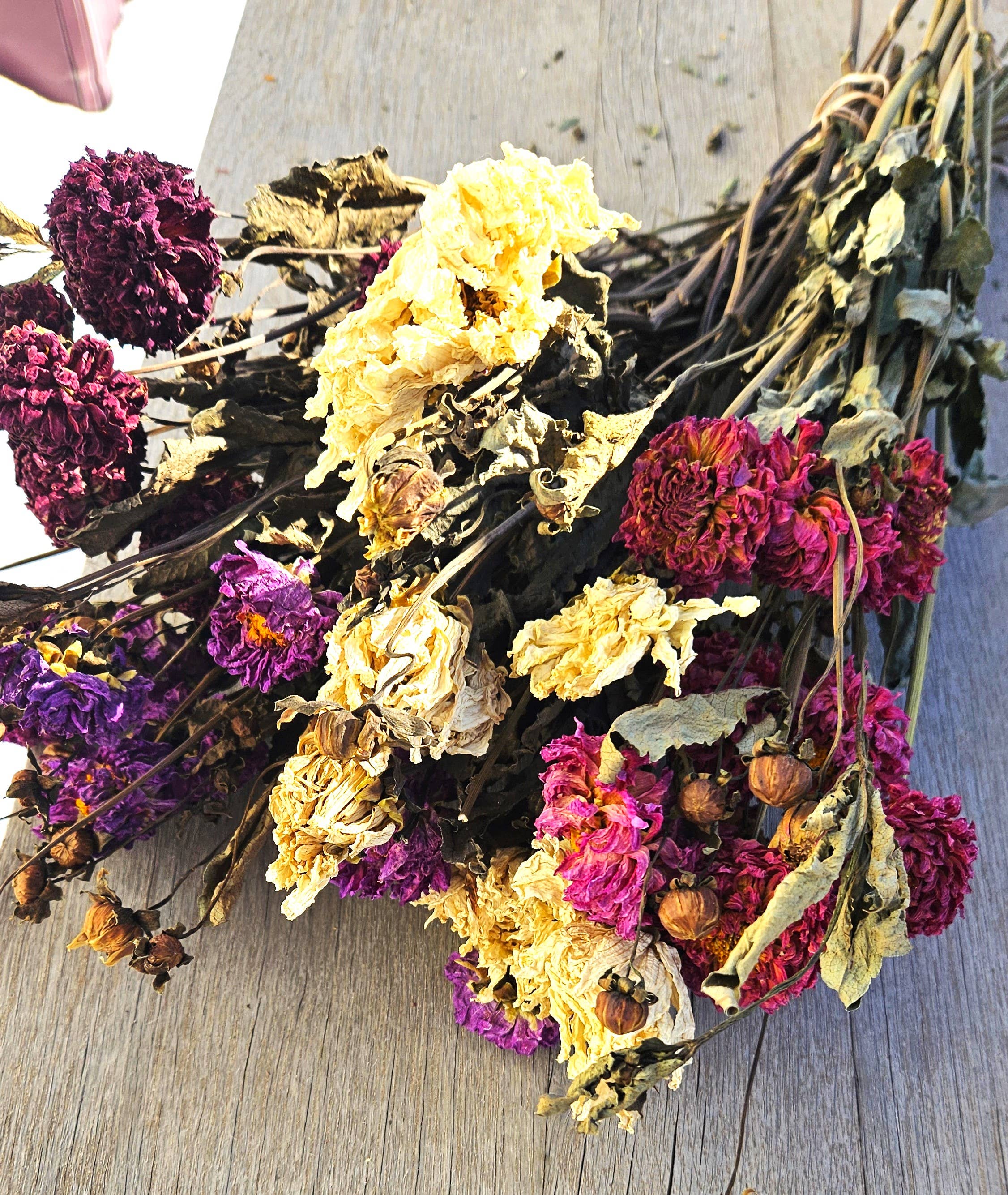 Alissas Flower Farm - Wholesale Dried/Pressed Flowers - Dried Dahlias