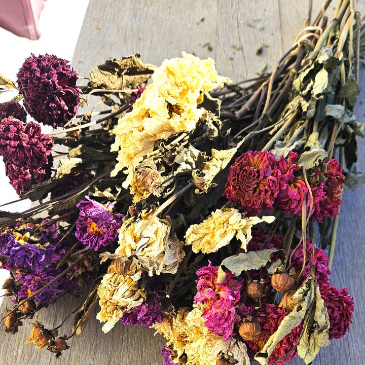 Alissas Flower Farm - Wholesale Dried/Pressed Flowers - Dried Dahlias0