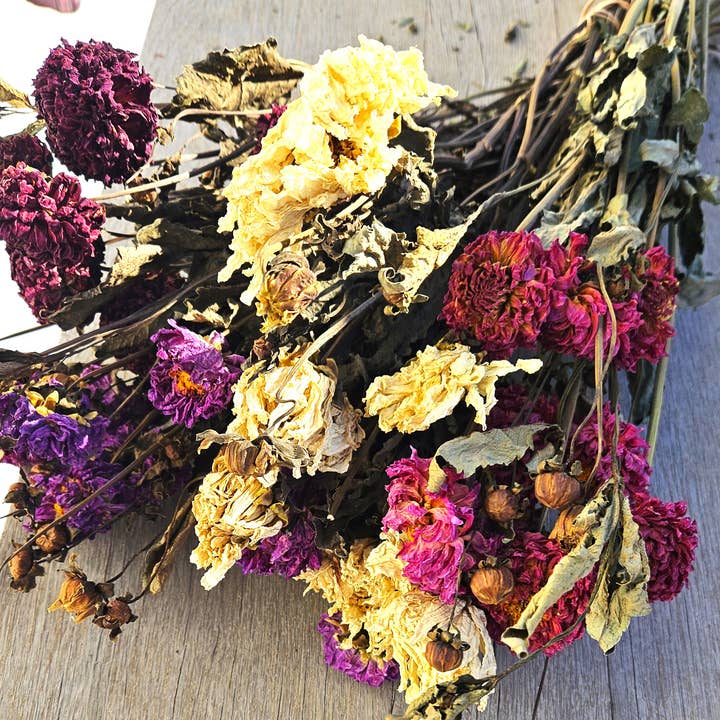 Alissas Flower Farm - Wholesale Dried/Pressed Flowers - Dried Dahlias