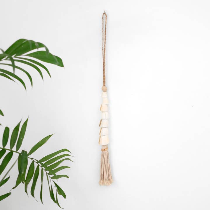 Shell Decoration Cone Shell for wholesale by FERN