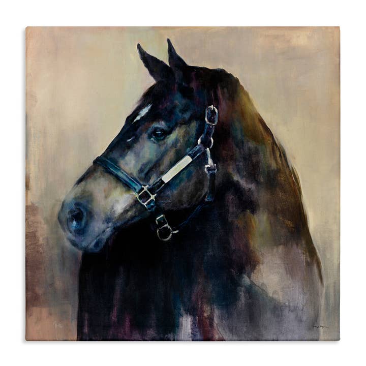 Stupell Industries - Wholesale Wall Decor - Kids & Baby - Ritzy Black Horse Canvas Art1