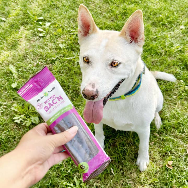 Bright Planet Pet - Wholesale Pet Treats - Dog - Better Bac'n Chews 6ct6