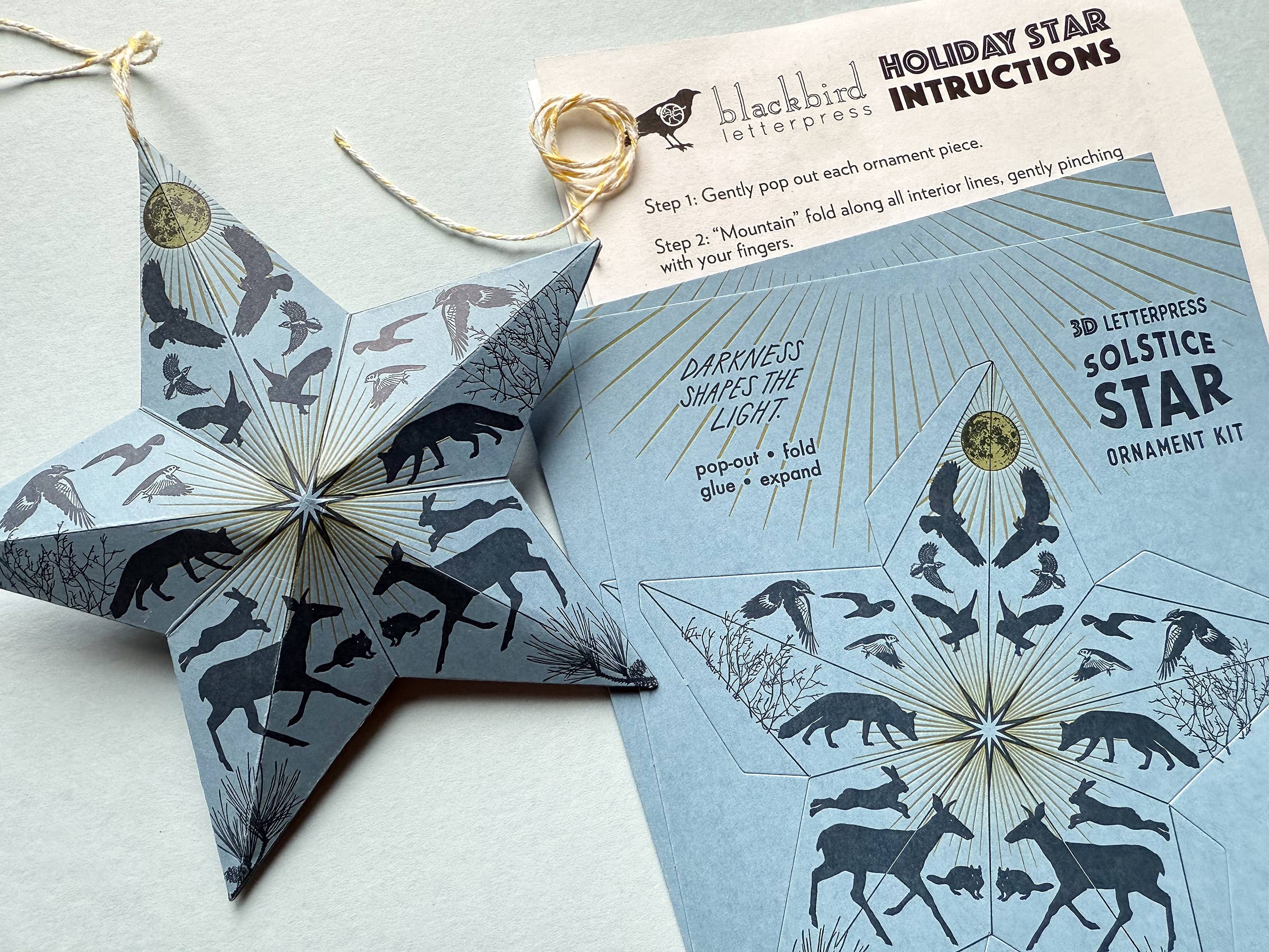 Blackbird Letterpress - Wholesale DIY Craft Kit - Holiday Solstice star DIY ornament kit4