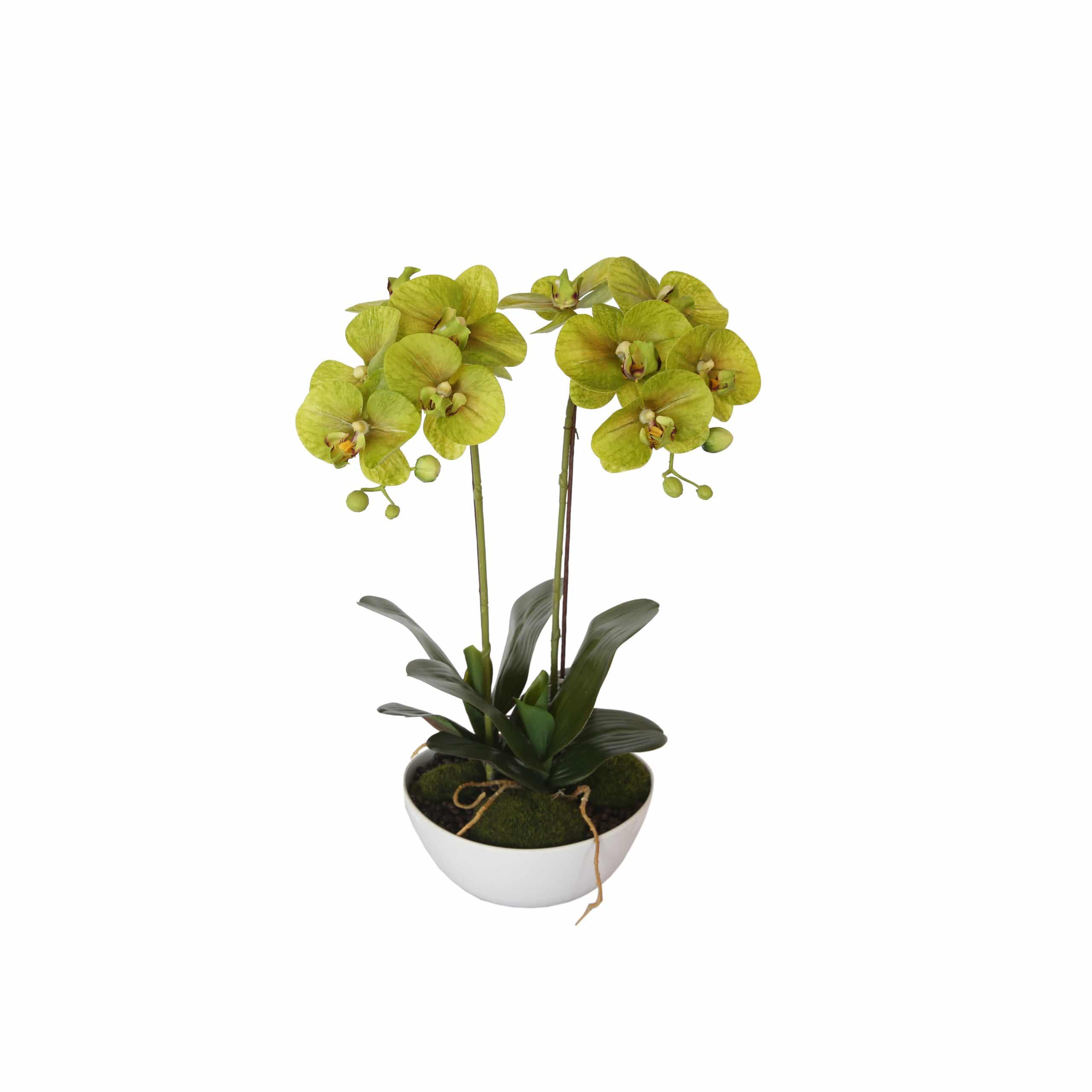 Designer Plants AU - Wholesale Artificial flowers - Two Stem Butterfly Artificial Orchid Cream 50cm0