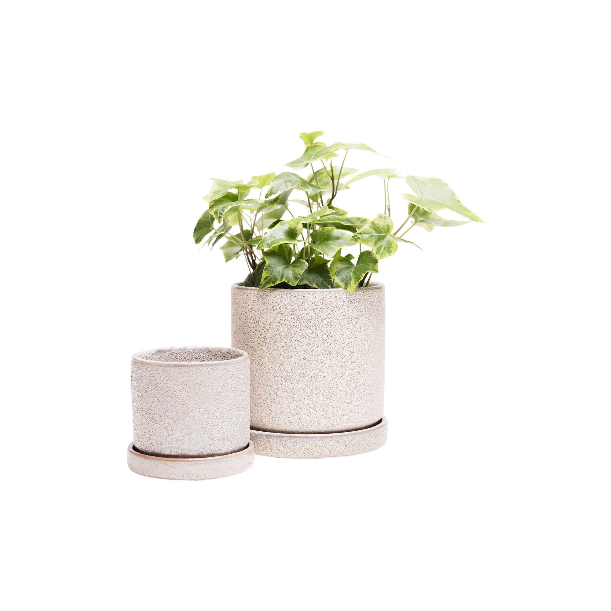 Ivory Speckles Minute Pots And Planters Plant Pots Indoor 3 Inch for wholesale on Faire2