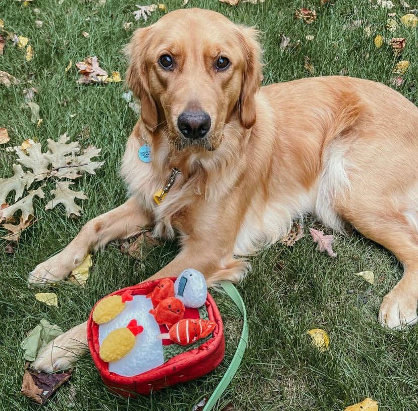 Woof & Co. – wholesale Pet plush toy – Dog – Benny Bento Box13