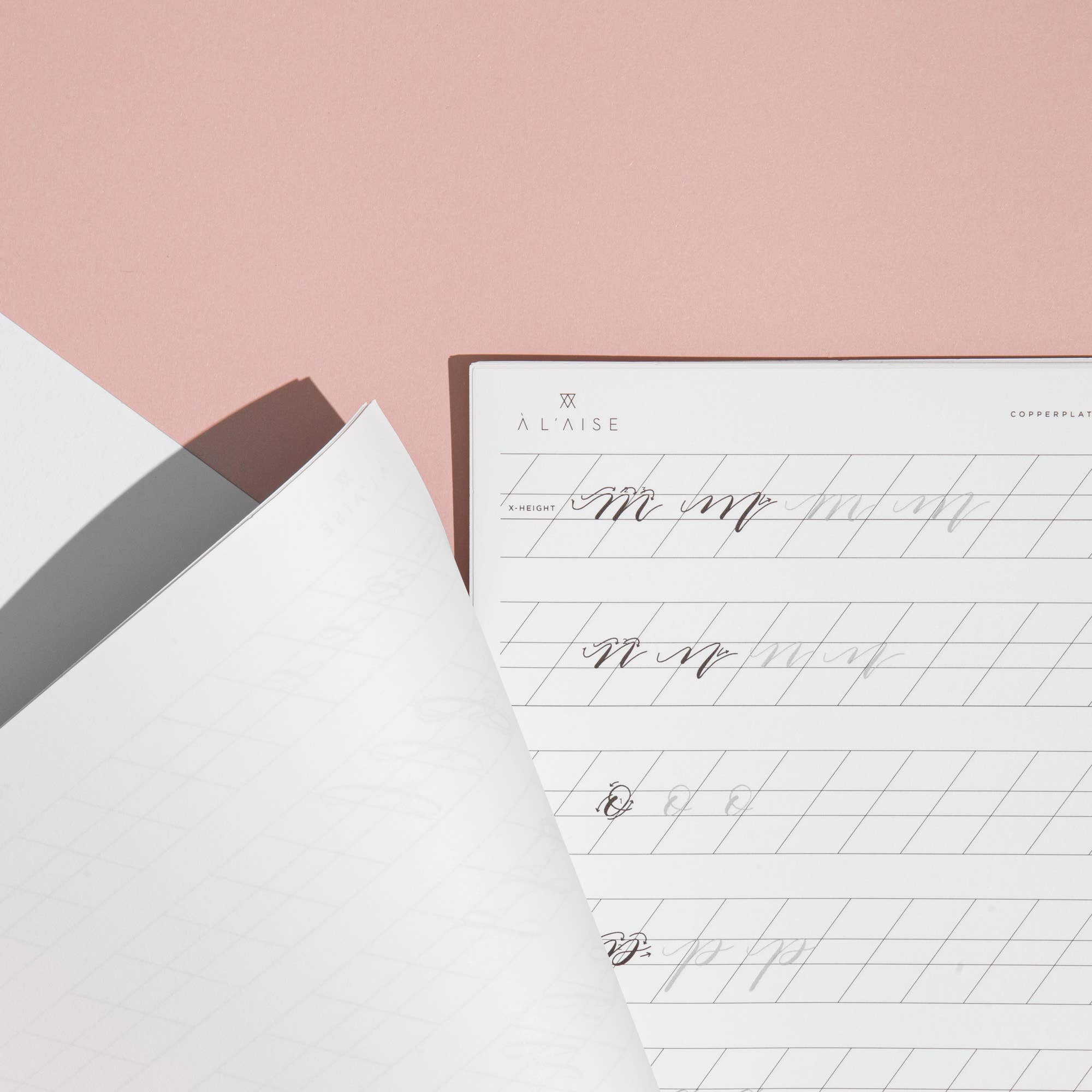 À L'AISE LTD - Wholesale Coloring & Activity Book - Adult - Modern Calligraphy Beginners Workbook2