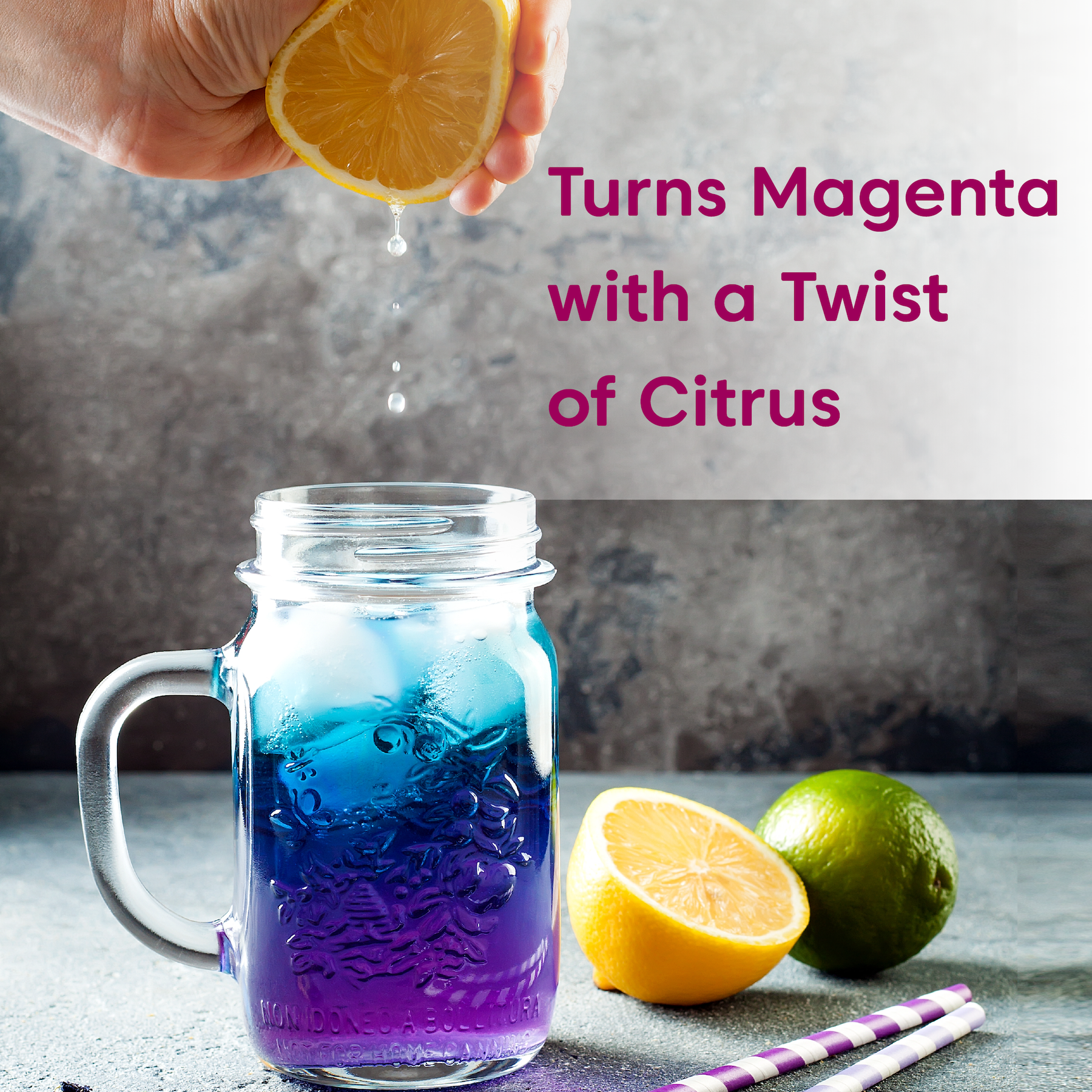 Wilderness Poets - Wholesale Protein/Superfood Powder - Blue Butterfly Pea Flower Powder (Blue Matcha)4