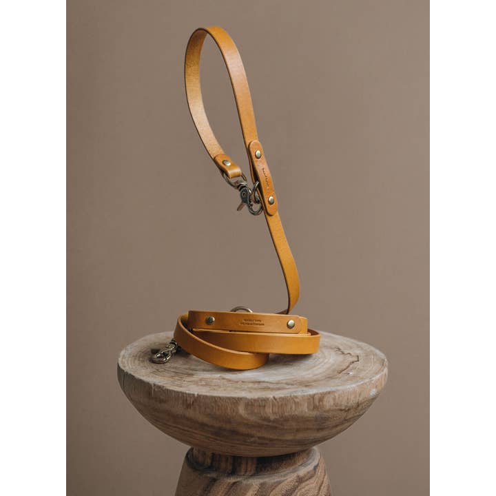 BAND&ROLL – trela - Cão por atacado – Guia de couro para cachorro para usar transpassado no corpo16