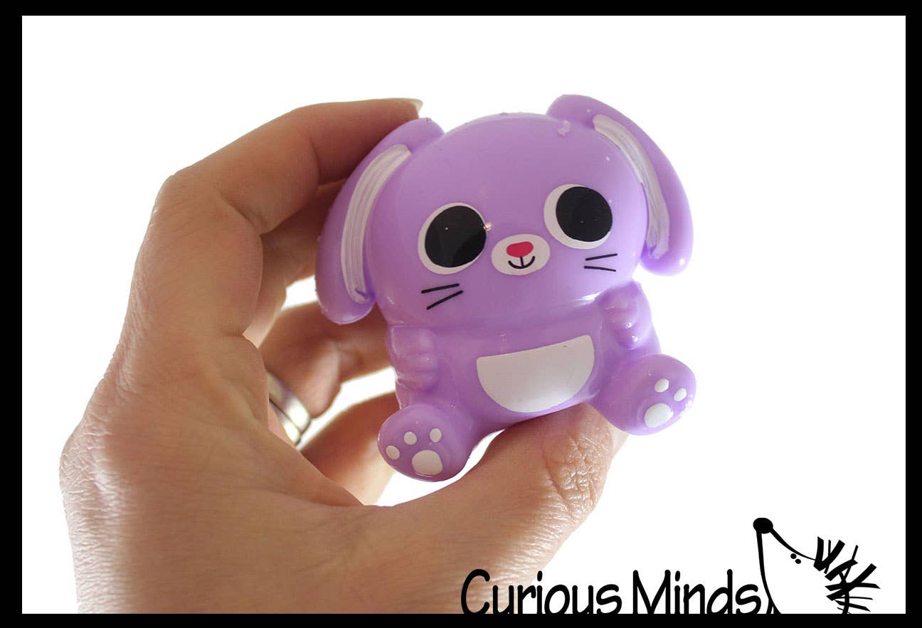 Curious Minds Toys - Wholesale Squishy Toy - Kids & Baby - 1 Bunny Splat Ball - Water Filled Splat Stress Ball - Throw 5