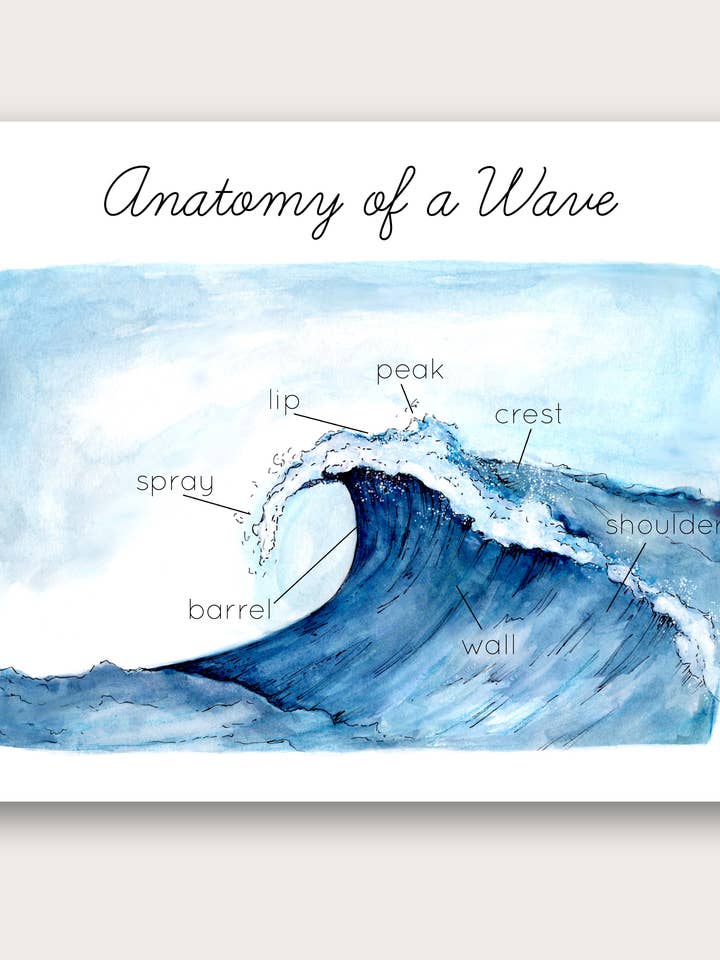 Anatomi af en bølge for engroshandel hos Stephanie Hathaway Designs