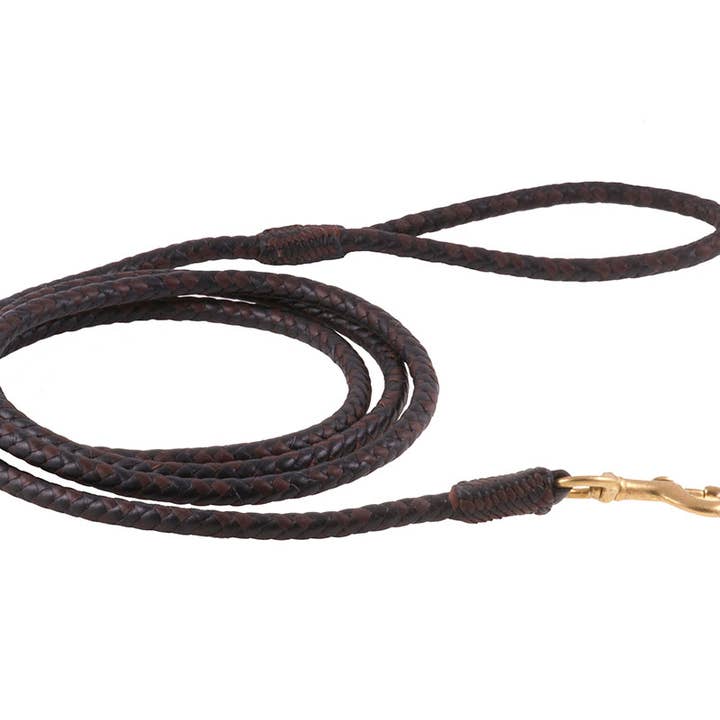 Alvalley - Wholesale Pet Leash - Dog - Braided Leather Snap Leads49