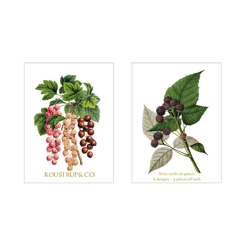 Koustrupco – Engroshandel Brevpapir/sæt med noteskort – Sommer minikort - blanding af smukke minikort med kuverter9