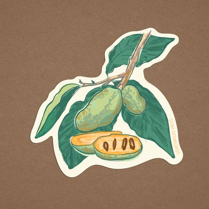 Starfangled Press - Wholesale Sticker - Pawpaw Plant Sticker1