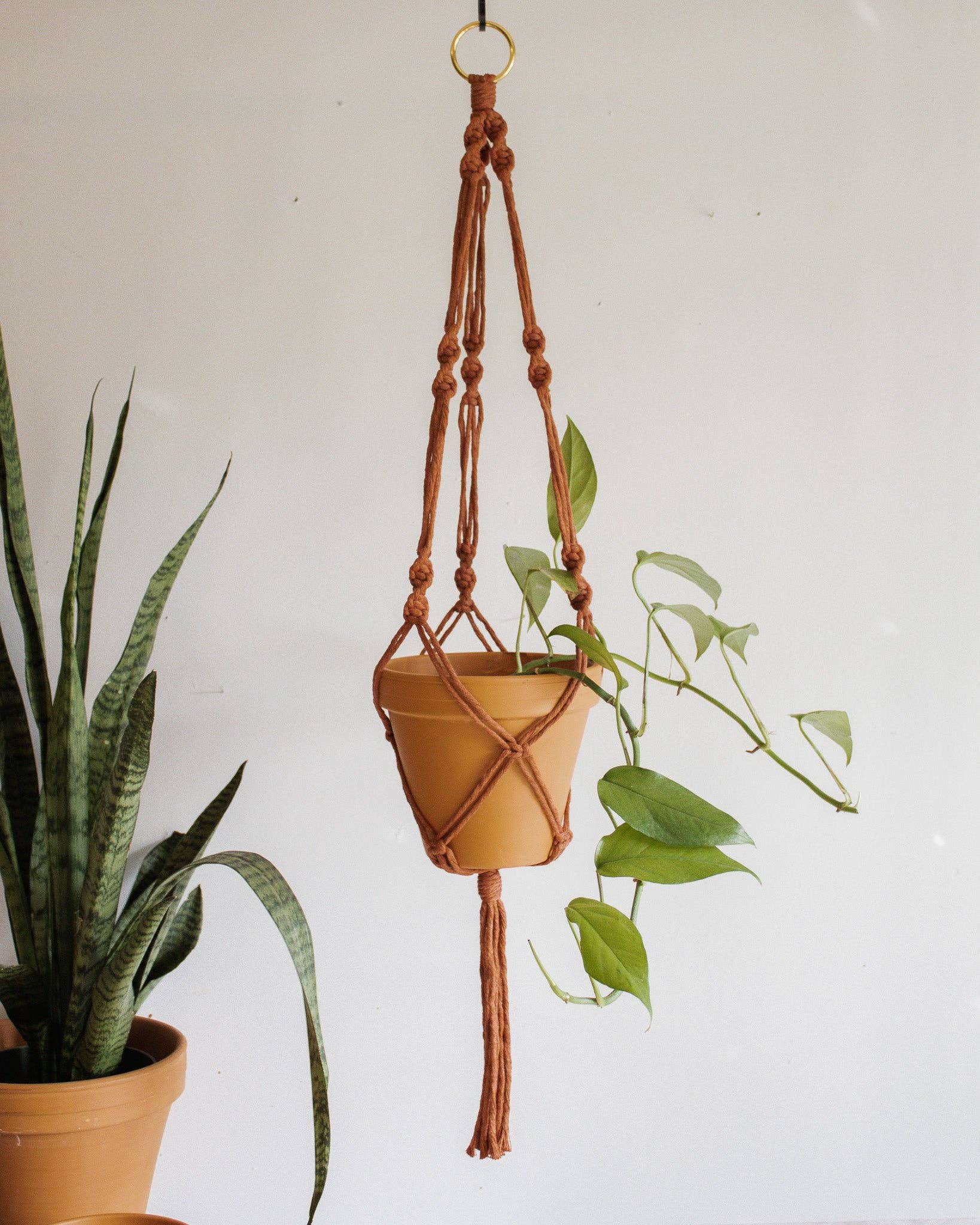 Modern Bo Studio – Vasos suspensos por atacado – Suporte para Planta em Macramê Simples com Torção4