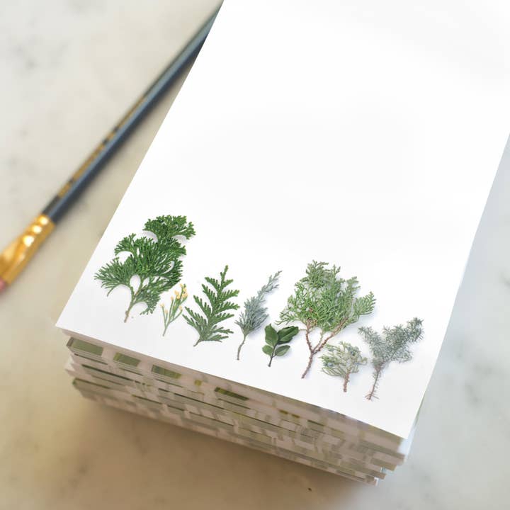 Bottle Branch - Wholesale Notepad - Notepad, Evergreen trees