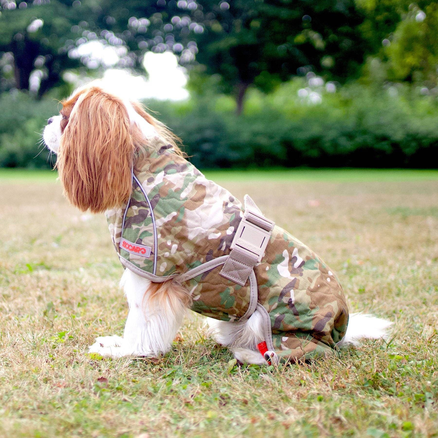 New Camo Spirit 2.0 Water-Repellent Dog Coat for wholesale on Faire1