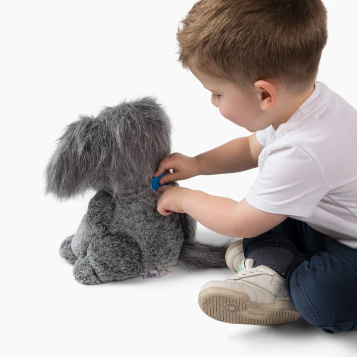 Bene World Toys - Wholesale Stuffed/Plush Toy - Kids & Baby - Stuffed dog with storybook pet care gifts for kids3