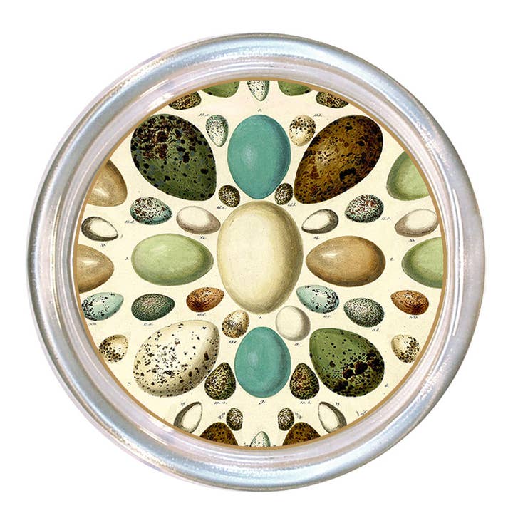 C8875-Base de Copo de Vidro com Ovos de Pássaros Antigos por atacado de Marye-Kelley