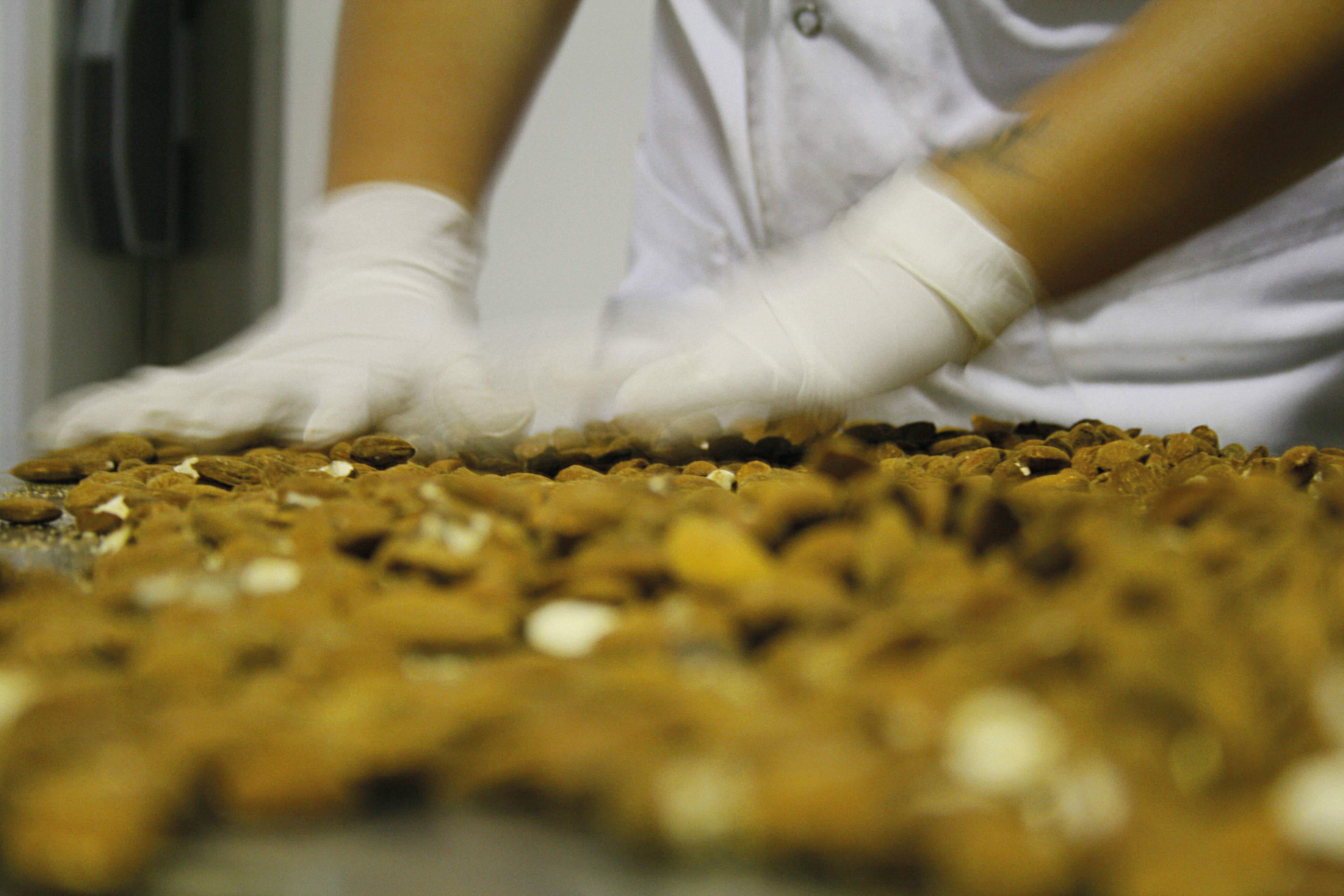 Le deliziose pasticceria sas Ti fa bene bio - Wholesale Chocolate Covered Sweets - Mandorelli Almonds covered in milk chocolate7