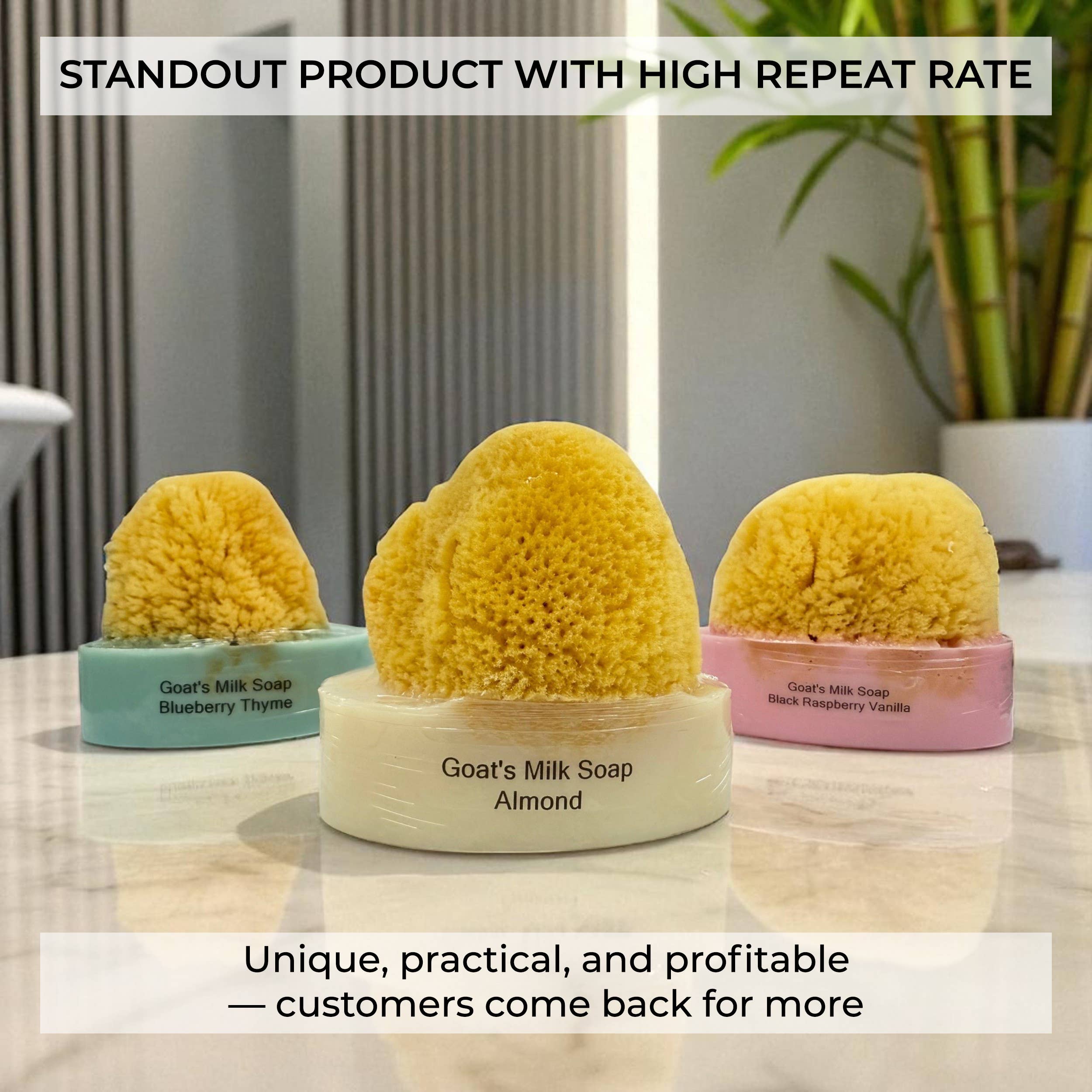 The Grecian Soap Company - Wholesale Bar Soap - Goat Milk Natural Exfoliating Soap Bar with Sea Sponge20