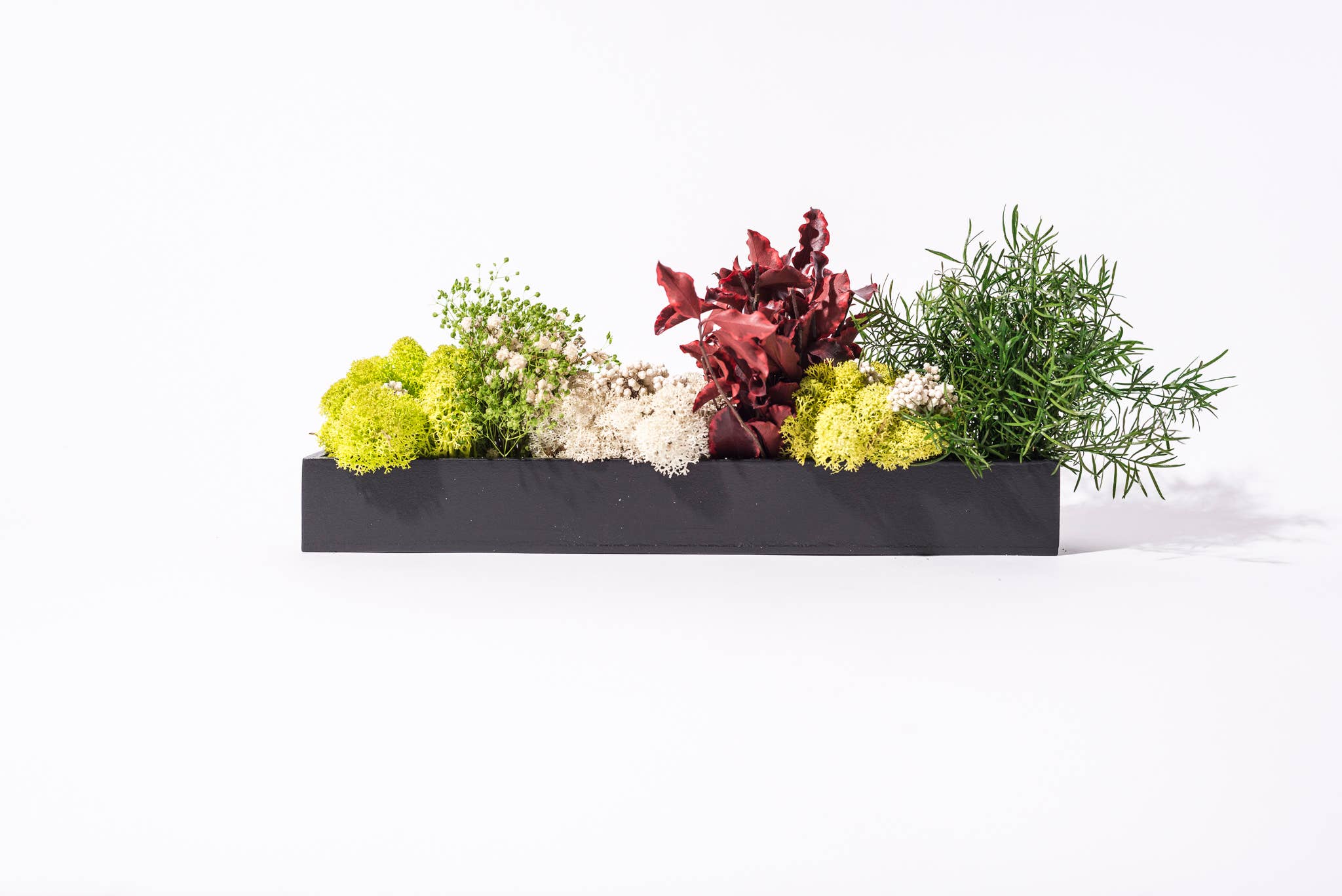 au detour du monde – Großhandel Kunstpflanzen – Stabilisierte Pflanzenleiste 40 cm11