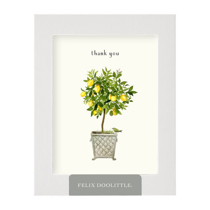 Felix Doolittle - Wholesale Thank You Card - Lemon Topiary - Thank You Card1