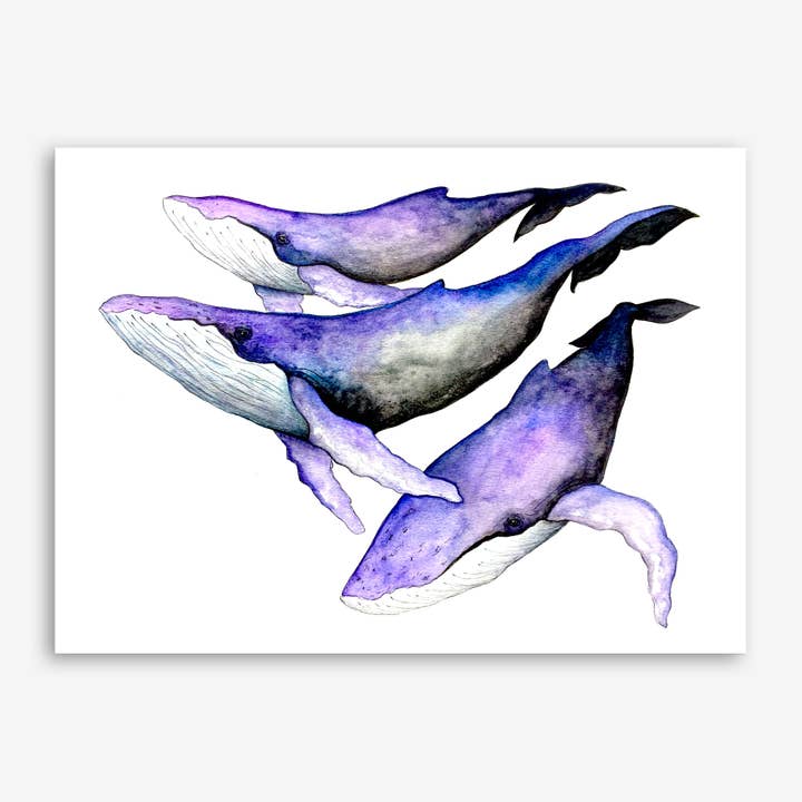 Stampa balene (opzioni di dimensioni multiple) per la vendita all'ingrosso da parte di Art by BGates